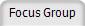 Focus Group