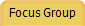 Focus Group
