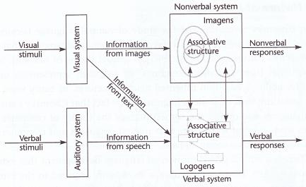 The architecture of Paivio's Dual-Coding Theory (Ware, 2000)
