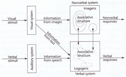 People can process visual and auditory information in parallel